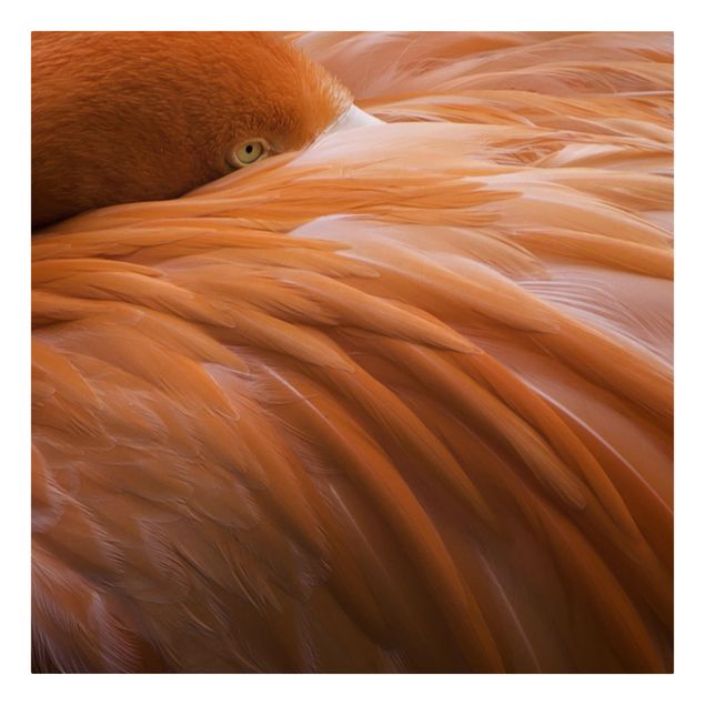 Tavlor modernt Flamingo Feathers