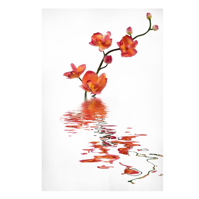 Tavlor blommor Flamy Orchid Waters