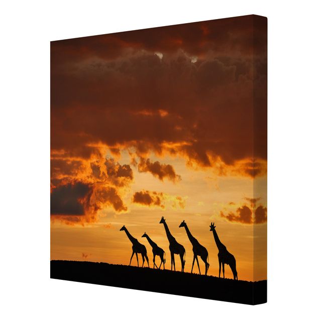 Tavlor landskap Five Giraffes
