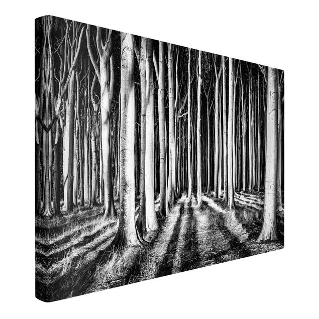 Canvastavlor svart och vitt Spooky Forest