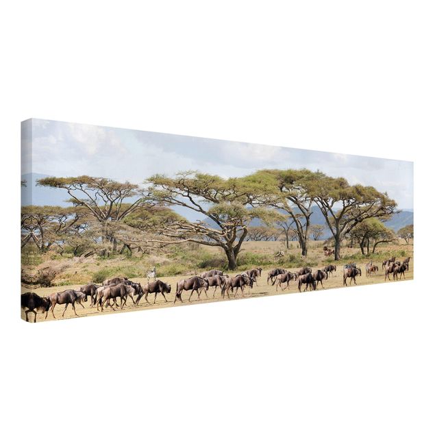 Tavlor landskap Herd Of Wildebeest In The Savannah