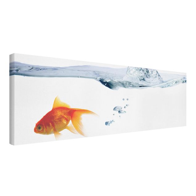 Tavlor modernt Goldfish