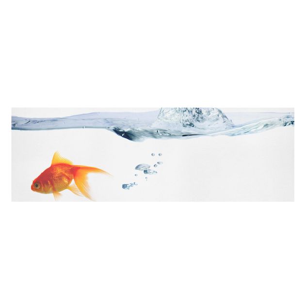 Tavlor djur Goldfish