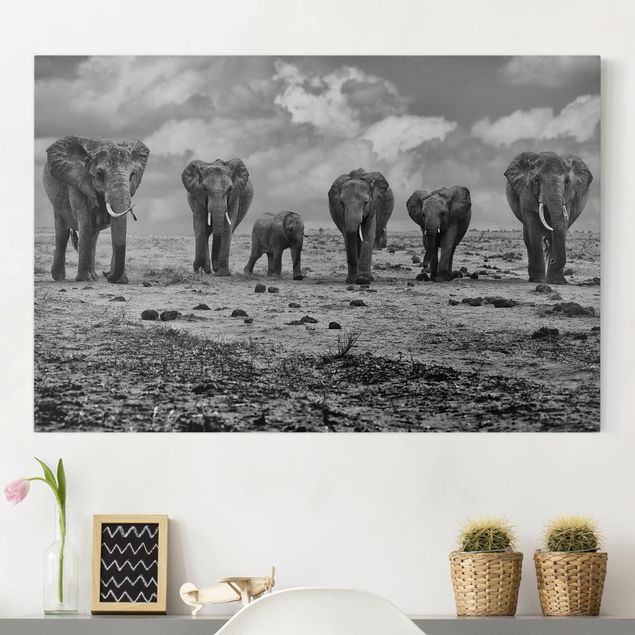 Canvastavlor elefanter Large Familiy