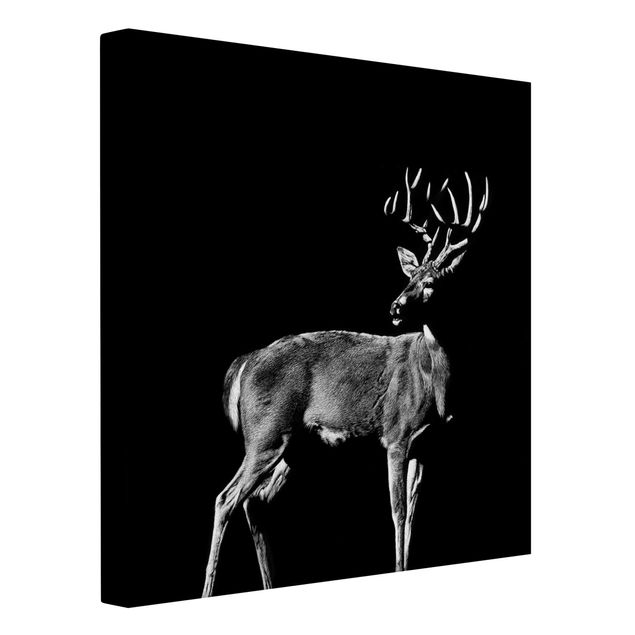 Canvastavlor djur Deer In The Dark
