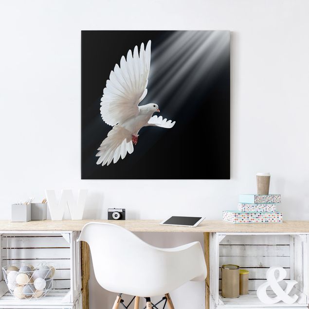 Canvastavlor svart och vitt Holy Dove