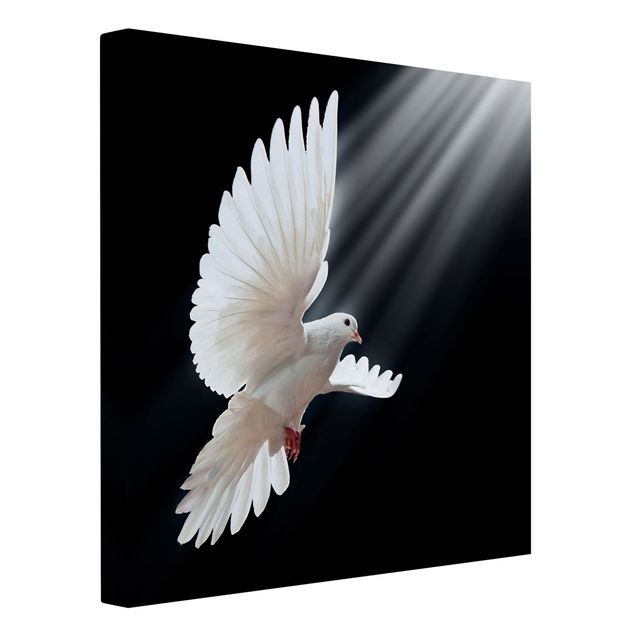 Canvastavlor andlig Holy Dove