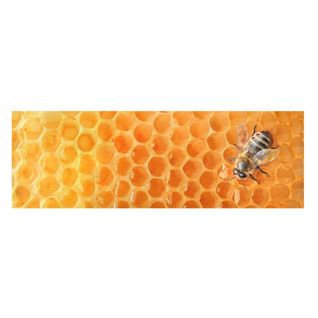 Tavlor Honey Bee