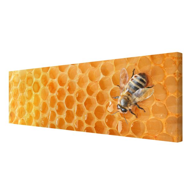 Canvastavlor Honey Bee