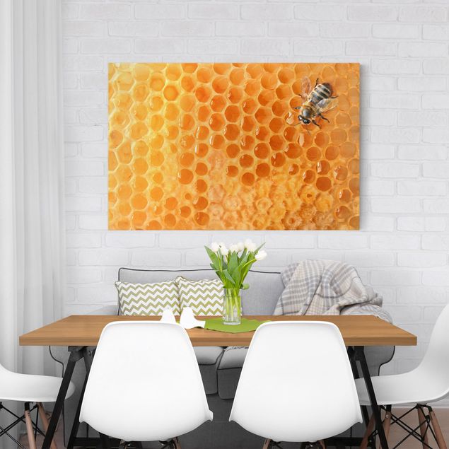 Canvastavlor djur Honey Bee