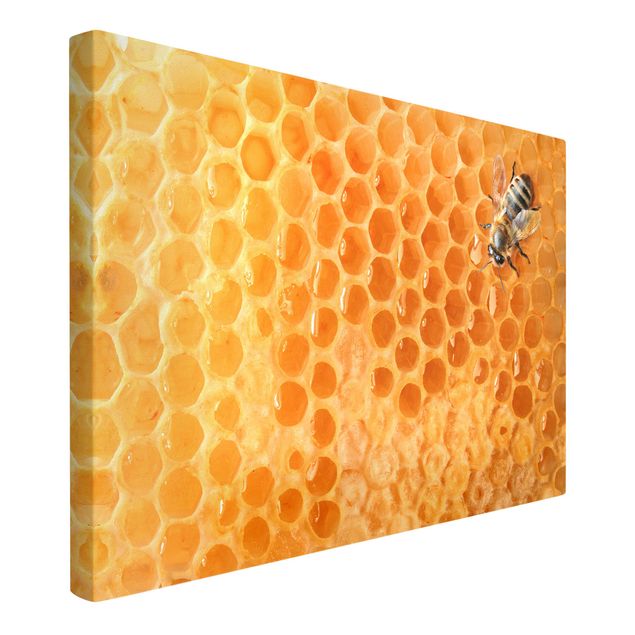 Tavlor modernt Honey Bee