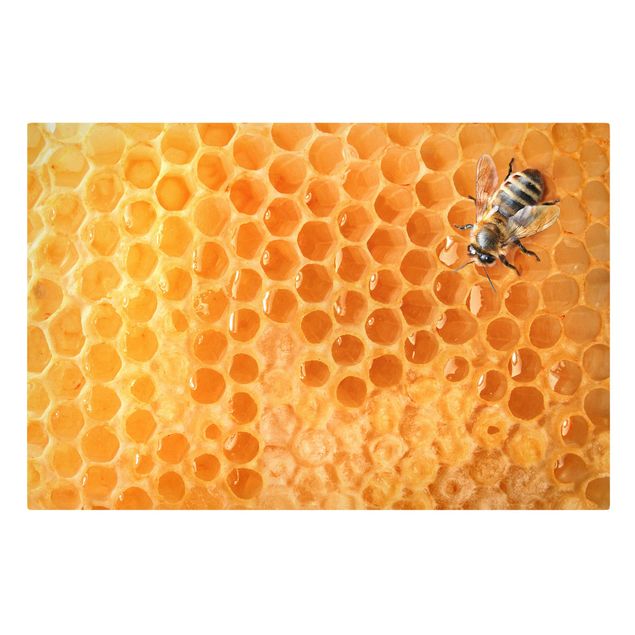 Tavlor djur Honey Bee