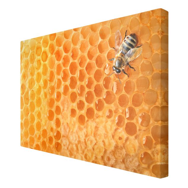 Tavlor Honey Bee