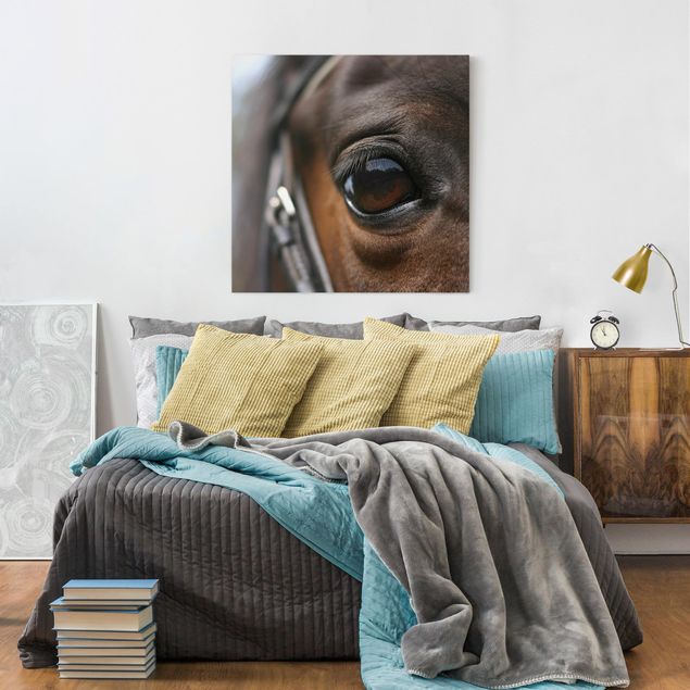 Canvastavlor djur Horse Eye No.3