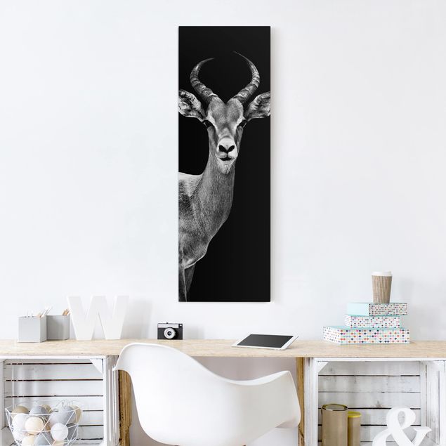 Canvastavlor svart och vitt Impala antelope black and white