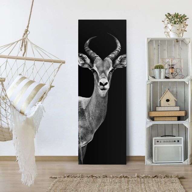 Canvastavlor djur Impala antelope black and white