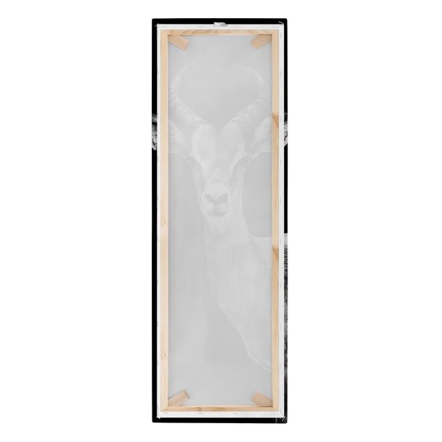 Canvastavlor Impala antelope black and white