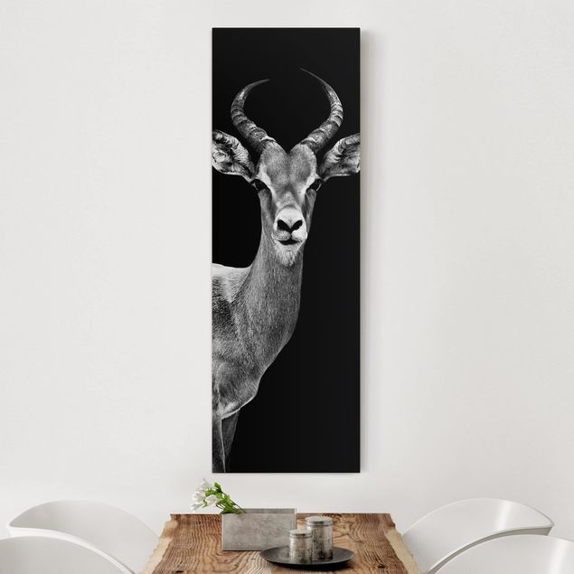 Kök dekoration Impala antelope black and white