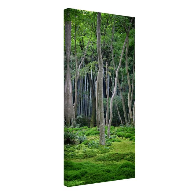 Canvastavlor landskap Japanese Forest