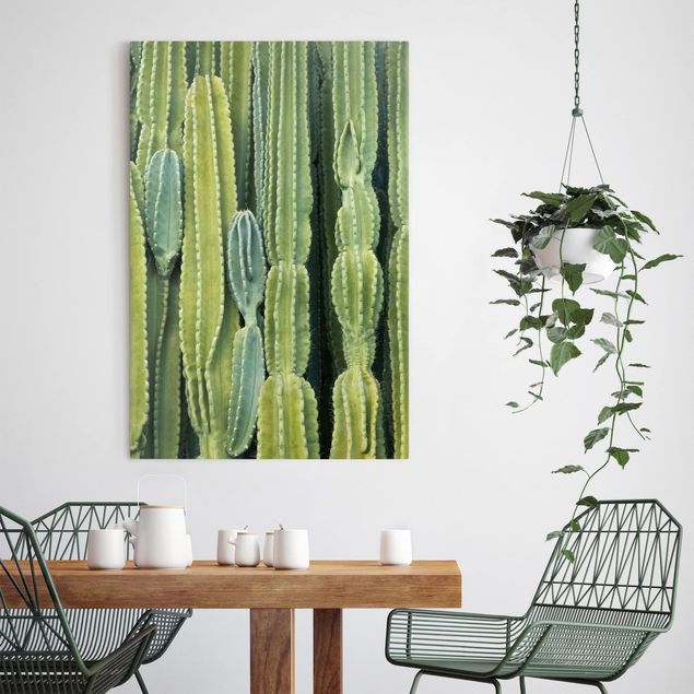 Canvastavlor blommor  Cactus Wall