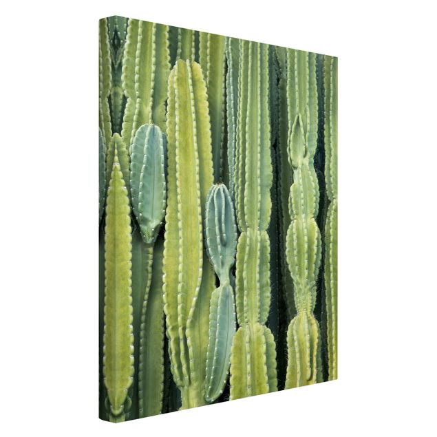 Tavlor blommor  Cactus Wall