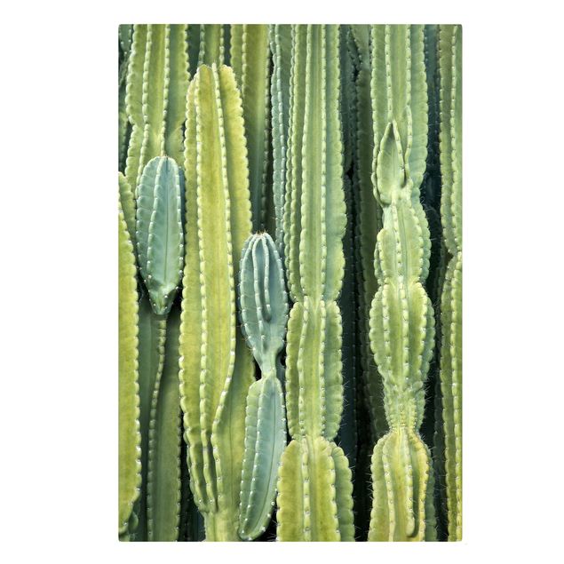 Tavlor grön Cactus Wall