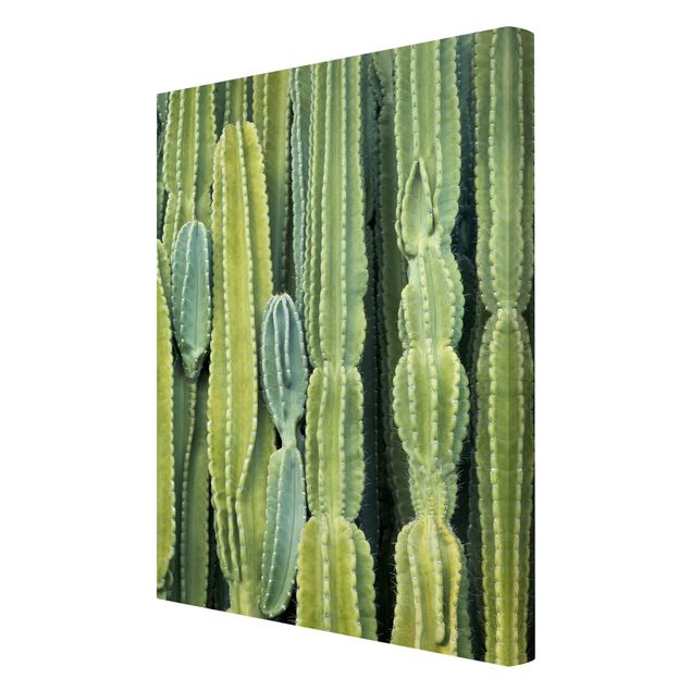 Tavlor Cactus Wall