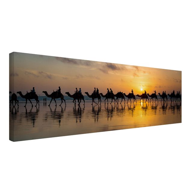 Tavlor modernt Camels in the sunset