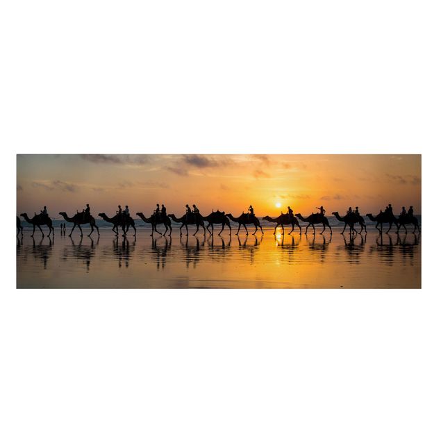 Tavlor djur Camels in the sunset