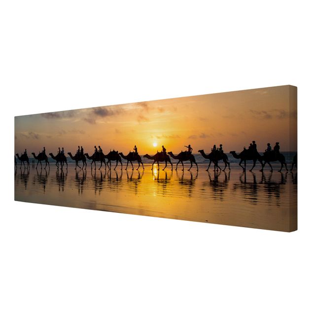 Tavlor orange Camels in the sunset