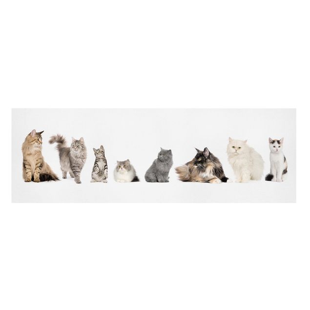 Canvastavlor djur Cat Gang