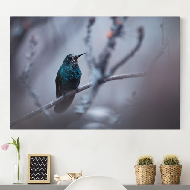 Canvastavlor fåglar Hummingbird In Winter