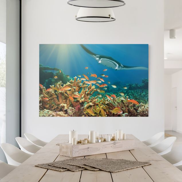 Kök dekoration Coral reef
