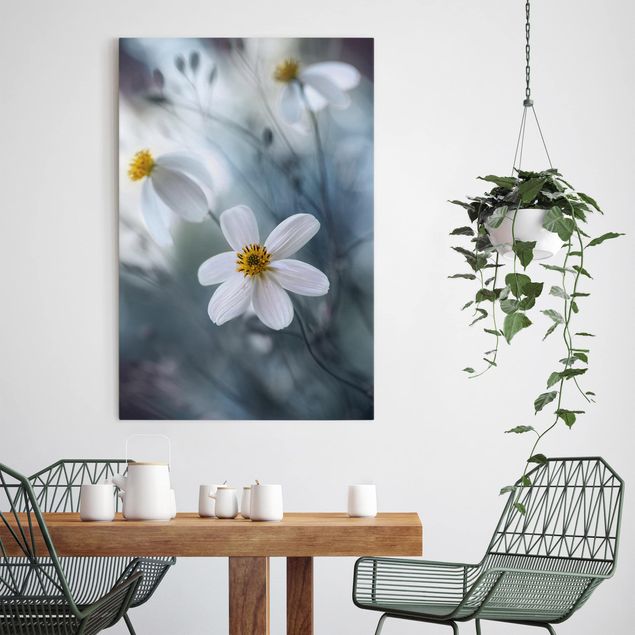 Canvastavlor blommor  Cosmos in Pastels