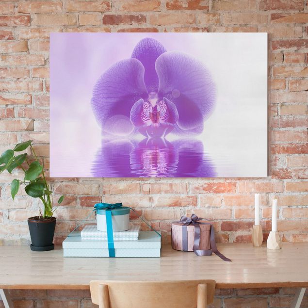 Canvastavlor orkidéer Purple Orchid On Water