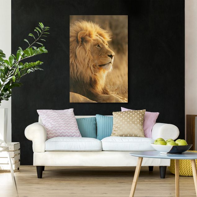 Canvastavlor lejon King Lion