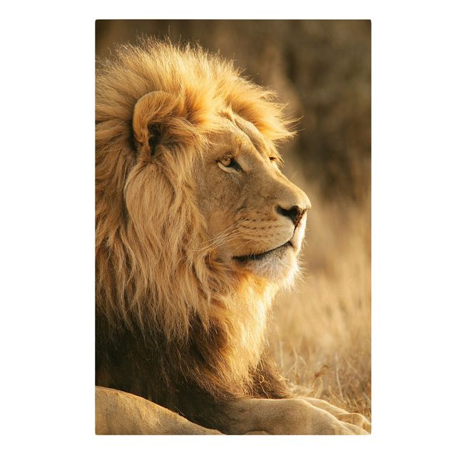 Canvastavlor djur King Lion