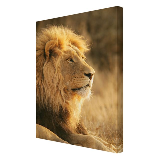 Tavlor Afrika King Lion