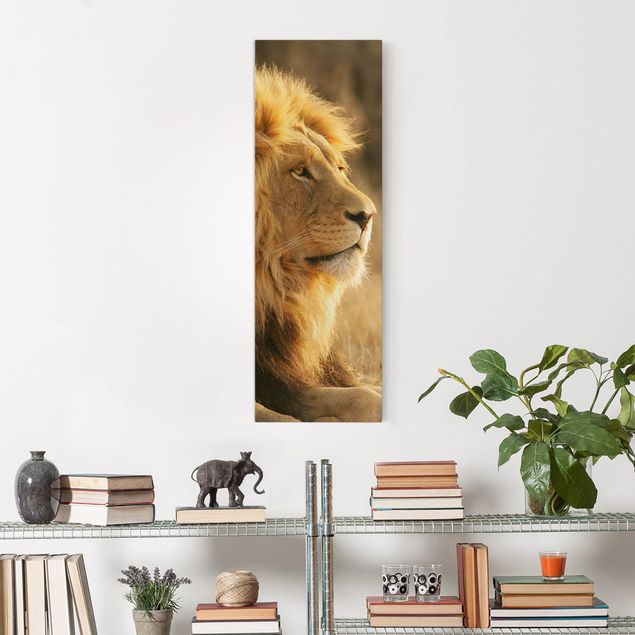 Canvastavlor katter King Lion