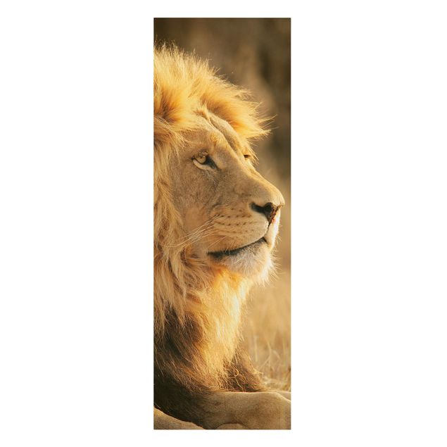 Canvastavlor djur King Lion