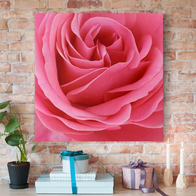 Kök dekoration Lustful Pink Rose