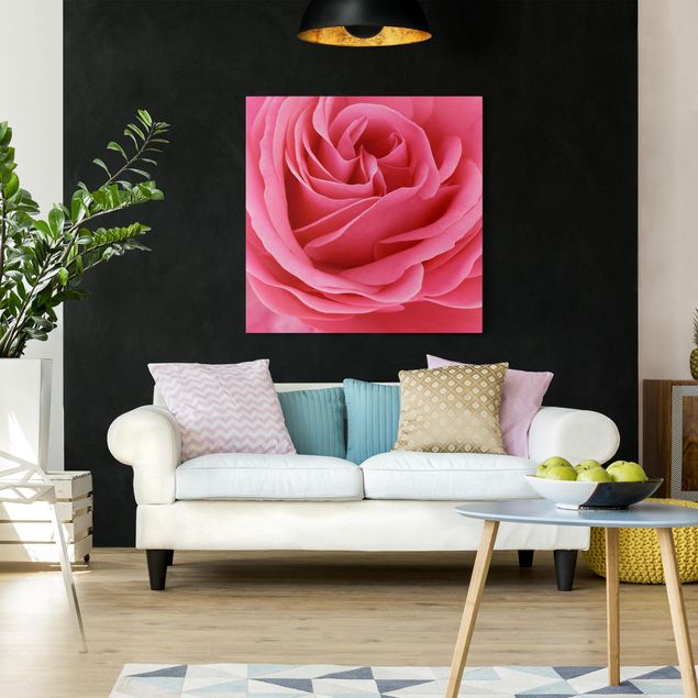 Canvastavlor rosor Lustful Pink Rose