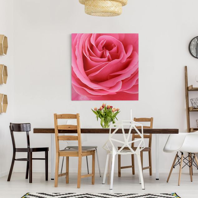 Canvastavlor blommor  Lustful Pink Rose