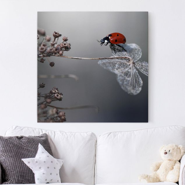 Kök dekoration Ladybird On Hydrangea