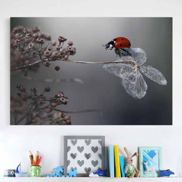 Kök dekoration Ladybird On Hydrangea