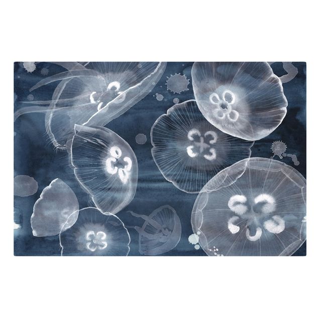 Tavlor blå Moon Jellyfish II