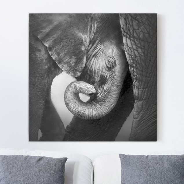 Canvastavlor elefanter Mother's Love