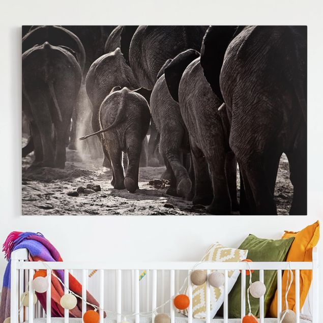 Canvastavlor elefanter Going Home