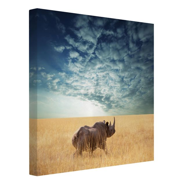 Canvastavlor landskap Rhino In The Savannah