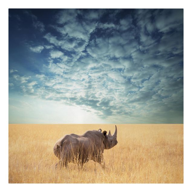 Canvastavlor djur Rhino In The Savannah